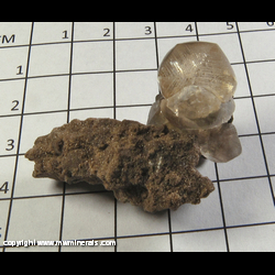 Mineral Specimen: Calcite Twinned Crystal from Pendelton Irving Materials Quarry, Anderson, Madison Co, Indiana Mineral Specimen: Calcite Twinned Crystal from Pendelton Irving Materials Quarry, Anderson, Madison Co, Indiana