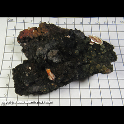 Mineral Specimen: Cerrusite from Sullivan Mine, Bunker Hill properties, Kellogg, Coeur d'Alene District, Shoshone Co, Idaho Mineral Specimen: Cerrusite from Sullivan Mine, Bunker Hill properties, Kellogg, Coeur d'Alene District, Shoshone Co, Idaho