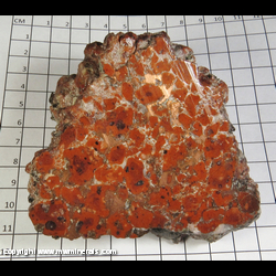 Mineral Specimen: Copper in Kingston Conglomerate from Kingston Mine, Kingston, Houghton Co., Michigan Mineral Specimen: Copper in Kingston Conglomerate from Kingston Mine, Kingston, Houghton Co., Michigan