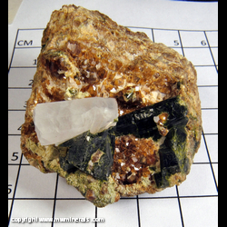 Mineral Specimen: Andradite Garnet, Epidote, Quartz from Garnet Hill, Calaveras Co, California Mineral Specimen: Andradite Garnet, Epidote, Quartz from Garnet Hill, Calaveras Co, California