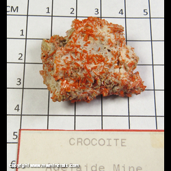 Mineral Specimen: Crocoite, Gibbsite from Adelaide Mine, Dundas, Tasmania, Australia