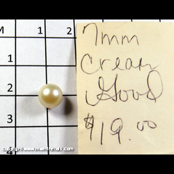Mineral Specimen: Pearl from Ex. Vivian Randall Mineral Specimen: Pearl from Ex. Vivian Randall