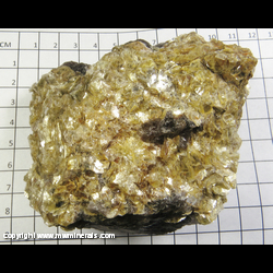 Mineral Specimen: Muscovite, Yellow from Newry, Oxford Co, Maine Mineral Specimen: Muscovite, Yellow from Newry, Oxford Co, Maine