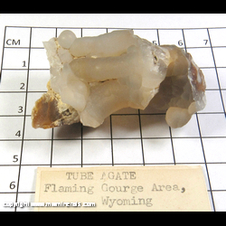 Mineral Specimen: Agate variety: Tube from Flaming Gorge, Wyoming