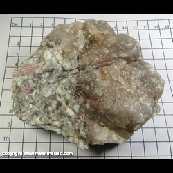 Mineral Specimen: Tourmaline, Albite, Quartz, Spodumene (reverse side) from Black Mountain Quarry, Rumford, Oxford Co,  Maine