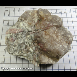 Mineral Specimen: Tourmaline, Albite, Quartz, Spodumene (reverse side) from Black Mountain Quarry, Rumford, Oxford Co, Maine Mineral Specimen: Tourmaline, Albite, Quartz, Spodumene (reverse side) from Black Mountain Quarry, Rumford, Oxford Co, Maine