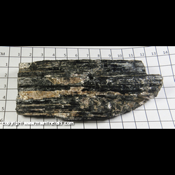 Mineral Specimen: Tourmaline, Muscovite from Cochise Co., Arizona
