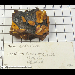 Mineral Specimen: Goethite from Grantsville District, Stansbury Mts, Tooele Co, Utah Mineral Specimen: Goethite from Grantsville District, Stansbury Mts, Tooele Co, Utah