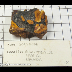 Mineral Specimen: Goethite from Grantsville District, Stansbury Mts, Tooele Co,  Utah