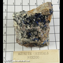 Mineral Specimen: Azurite Crystals on Quartz from Mexico Mineral Specimen: Azurite Crystals on Quartz from Mexico