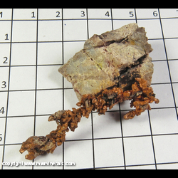 Mineral Specimen: Copper Crystals from Ray Mine, Pinal Co, Arizona Mineral Specimen: Copper Crystals from Ray Mine, Pinal Co, Arizona