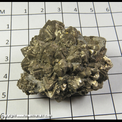 Mineral Specimen: Pyritized Marine Burrow from Ross Co,  Ohio