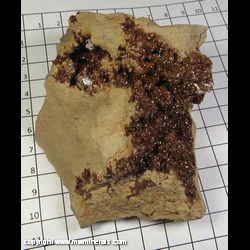 Mineral Specimen: Limonite Pseudomorph after Pyrite from Scales Mound, Jo Daviess Co., Illinois Mineral Specimen: Limonite Pseudomorph after Pyrite from Scales Mound, Jo Daviess Co., Illinois