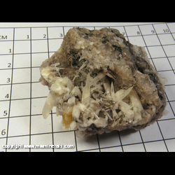 Mineral Specimen: Calcite and Bitumen on Fluorite from Hardin Co, Illinois Mineral Specimen: Calcite and Bitumen on Fluorite from Hardin Co, Illinois