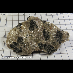 Mineral Specimen: Schorl Tourmaline, Muscovite from Ruggles Mine, Grafton, Grafton Co., New Hampshire Mineral Specimen: Schorl Tourmaline, Muscovite from Ruggles Mine, Grafton, Grafton Co., New Hampshire