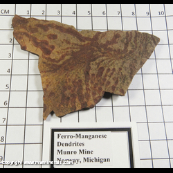 Mineral Specimen: Ferro-Manganese Dendrites from Munro Mine, Norway, Dickison Co., Michigan