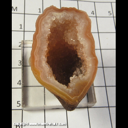 Mineral Specimen: Agate/Quartz Geode (polished) from Chihuahua, Mexico Mineral Specimen: Agate/Quartz Geode (polished) from Chihuahua, Mexico