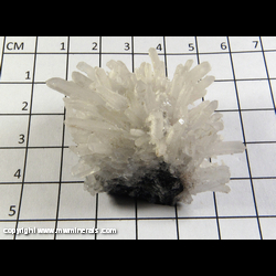 Mineral Specimen: Calcite on Quartz on Sphalerite and Galena from Krushev dol deposit, Krushev dol mine, Madan ore field, Smolyan Oblast, Bulgaria Mineral Specimen: Calcite on Quartz on Sphalerite and Galena from Krushev dol deposit, Krushev dol mine, Madan ore field, Smolyan Oblast, Bulgaria