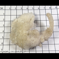 Mineral Specimen: Gypsum variety: Rams Horn Selenite from 