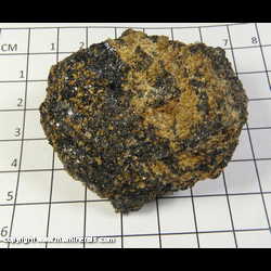 Mineral Specimen: Andradite Garnet, Sphalerite from Mt. Hope Mine, 21 miles N. of Eureka, Eureka Co., Nevada Mineral Specimen: Andradite Garnet, Sphalerite from Mt. Hope Mine, 21 miles N. of Eureka, Eureka Co., Nevada