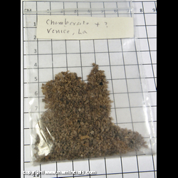 Mineral Specimen: Chambersite with Unidentified from Venice Salt dome, Plaquemines Parish, Louisiana Mineral Specimen: Chambersite with Unidentified from Venice Salt dome, Plaquemines Parish, Louisiana