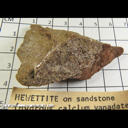 Mineral Specimen: Hewettite, Gypsum from Hummer Mine, Jo Dandy Mine, Paradox Valley, Uravan Dist., Montrose Co., Colorado Mineral Specimen: Hewettite, Gypsum from Hummer Mine, Jo Dandy Mine, Paradox Valley, Uravan Dist., Montrose Co., Colorado