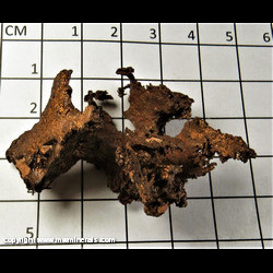 Mineral Specimen: Copper with Casts after Cobbles from C&H Lode, Calumet area, Houghton Co., Michigan Mineral Specimen: Copper with Casts after Cobbles from C&H Lode, Calumet area, Houghton Co., Michigan