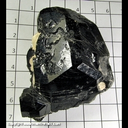 Mineral Specimen: Dravite Tourmaline from Power's Farm, Pierrepont, St. Lawrence Co,  New York, USA