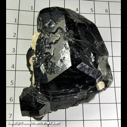 Mineral Specimen: Dravite Tourmaline from Power's Farm, Pierrepont, St. Lawrence Co, New York, USA Mineral Specimen: Dravite Tourmaline from Power's Farm, Pierrepont, St. Lawrence Co, New York, USA
