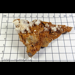 Mineral Specimen: Aragonite on Dolomite from Highway 67 Roadcut, Greenville, Wayne Co, Missouri Mineral Specimen: Aragonite on Dolomite from Highway 67 Roadcut, Greenville, Wayne Co, Missouri