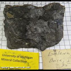Mineral Specimen: Galena from Boise Co., Idaho Mineral Specimen: Galena from Boise Co., Idaho