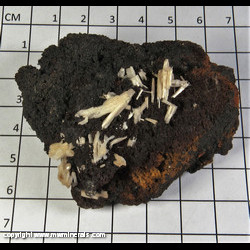 Mineral Specimen: Cerussite variety Jackstraw from Flux Mine, Pantagonia, Santa Cruz Co, Arizona Mineral Specimen: Cerussite variety Jackstraw from Flux Mine, Pantagonia, Santa Cruz Co, Arizona