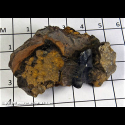 Mineral Specimen: Goethite variety: Wood Ore from Ishpeming, Marquette Co., Michigan