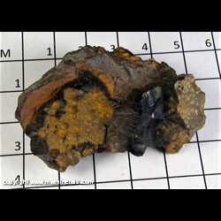 Mineral Specimen: Goethite variety: Wood Ore from Ishpeming, Marquette Co., Michigan Mineral Specimen: Goethite variety: Wood Ore from Ishpeming, Marquette Co., Michigan