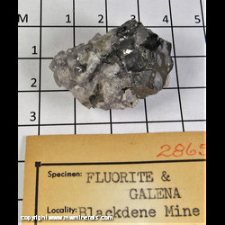 Mineral Specimen: Fluorite (Strongly Fluorescent), Galena from Blackdene Mine, Ireshopeburn, Weardale, North Pennines, Co. Durham, England Mineral Specimen: Fluorite (Strongly Fluorescent), Galena from Blackdene Mine, Ireshopeburn, Weardale, North Pennines, Co. Durham, England