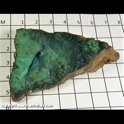 Mineral Specimen: Chrysocolla from Globe-Miami District, Gila Co., Atizona Mineral Specimen: Chrysocolla from Globe-Miami District, Gila Co., Atizona