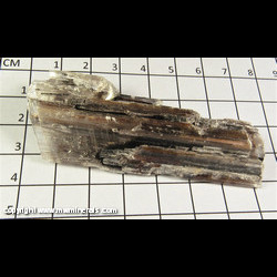 Mineral Specimen: Selenite with Included Goethite from Naica, Chihuahua, Mexico