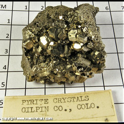 Mineral Specimen: Pyrite from Gilpin Co., Colorado Mineral Specimen: Pyrite from Gilpin Co., Colorado