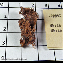 Mineral Specimen: Copper Crystals from White Pine Mine, White Pine, Ontonagon Co., Michigan