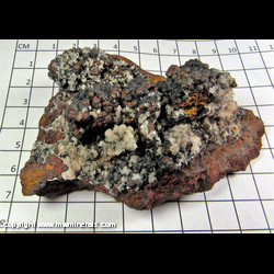 Mineral Specimen: Adamite - White (UV), Calcite on Goethite from Gold Hill Mine, Tooele Co, Utah Mineral Specimen: Adamite - White (UV), Calcite on Goethite from Gold Hill Mine, Tooele Co, Utah