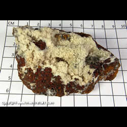 Mineral Specimen: Calcite on White Adamite(UV) on Goethite from Gold Hill Mine, Tooele Co, Utah Mineral Specimen: Calcite on White Adamite(UV) on Goethite from Gold Hill Mine, Tooele Co, Utah