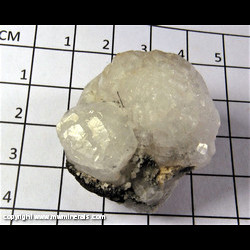 Mineral Specimen: Analcime with Aegerine from Poudrette Quarry, Mont Saint-Hilaire, Rouville RCM, Monteregie, Quebec, Canada Mineral Specimen: Analcime with Aegerine from Poudrette Quarry, Mont Saint-Hilaire, Rouville RCM, Monteregie, Quebec, Canada