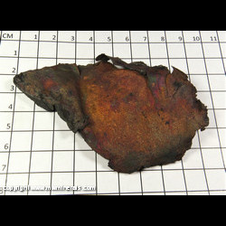 Mineral Specimen: Copper variety: Sheet with Attached Nonesuch Shale from White Pine Mine, White Pine, Ontonagon Co., Michigan Mineral Specimen: Copper variety: Sheet with Attached Nonesuch Shale from White Pine Mine, White Pine, Ontonagon Co., Michigan