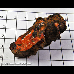 Mineral Specimen: Crocoite, Goethite from Red Lead Mine, Dundas, Tasmania, Australia Mineral Specimen: Crocoite, Goethite from Red Lead Mine, Dundas, Tasmania, Australia