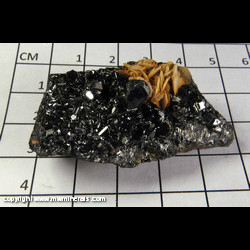 Mineral Specimen: Sphalerite variety: Marmatite, Siderite from Gilpin Co., Colorado Mineral Specimen: Sphalerite variety: Marmatite, Siderite from Gilpin Co., Colorado
