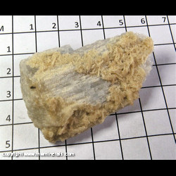 Mineral Specimen: Celesitne partially Coated with Strontian Calcite from Holloway Quarry, Berlin Twp, Monroe Co, Michigan J. Medici Mineral Specimen: Celesitne partially Coated with Strontian Calcite from Holloway Quarry, Berlin Twp, Monroe Co, Michigan J. Medici