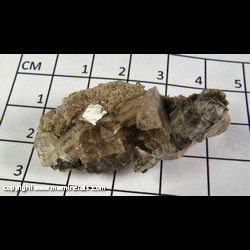 Mineral Specimen: Fluorite, Calcite from Holloway Quarry, Berlin Twp., Monroe Co., Michigan Mineral Specimen: Fluorite, Calcite from Holloway Quarry, Berlin Twp., Monroe Co., Michigan