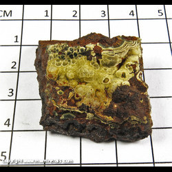 Mineral Specimen: Kidwellite from Coon Creek Mine, Polk Co., Arkansas Mineral Specimen: Kidwellite from Coon Creek Mine, Polk Co., Arkansas