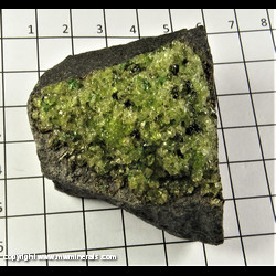 Mineral Specimen: Peridot - Forsterite from San Carlos, San Carlos Apache Indian Reservation, Gila Co., Arizona Mineral Specimen: Peridot - Forsterite from San Carlos, San Carlos Apache Indian Reservation, Gila Co., Arizona
