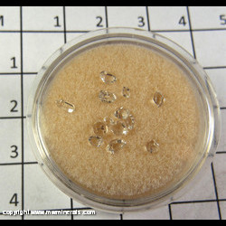Mineral Specimen: Herkimer Diamonds from Herkimer, New York Mineral Specimen: Herkimer Diamonds from Herkimer, New York